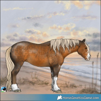 Horse Color:Chocolate Palomino Sabino