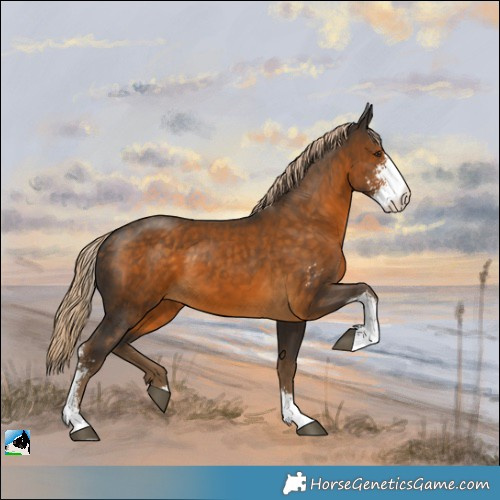 Horse Color:Chocolate Palomino Sabino