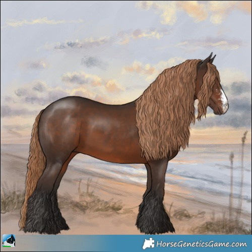 Horse Color:Liver Chestnut Sabino Rabicano 