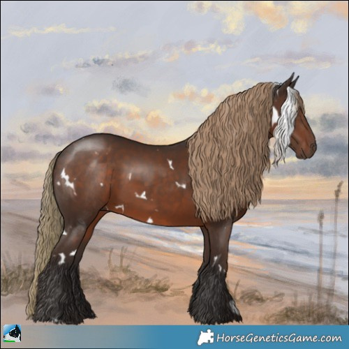 Horse Color:White Spotted Liver Chestnut Rabicano