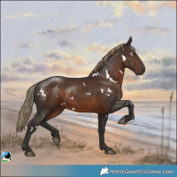 Horse Color:White Spotted Liver Chestnut Rabicano 