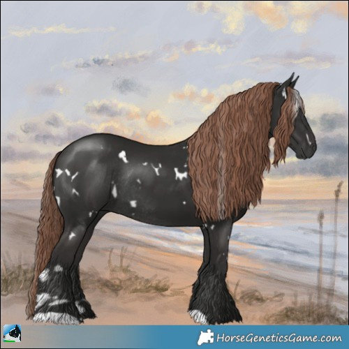 Horse Color:White Spotted Liver Chestnut Rabicano 