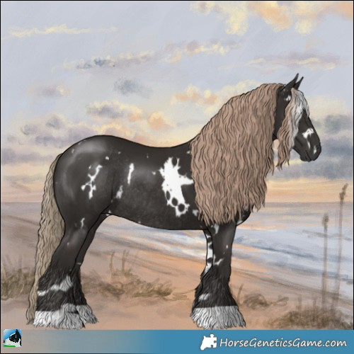 Horse Color:White Spotted Liver Chestnut Rabicano