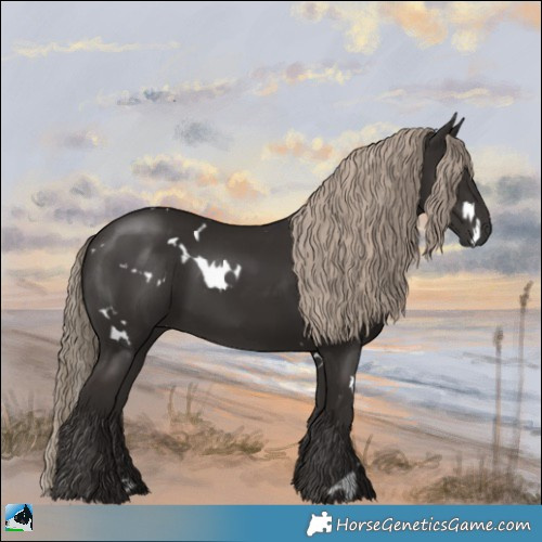 Horse Color:White Spotted Liver Chestnut 