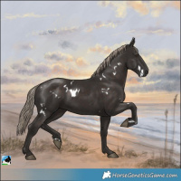 Horse Color:White Spotted Liver Chestnut 
