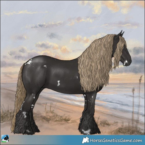 Horse Color:White Spotted Liver Chestnut 