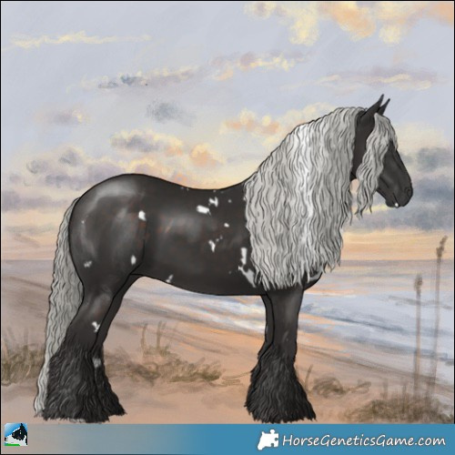 Horse Color:White Spotted Liver Chestnut Mushroom Rabicano 