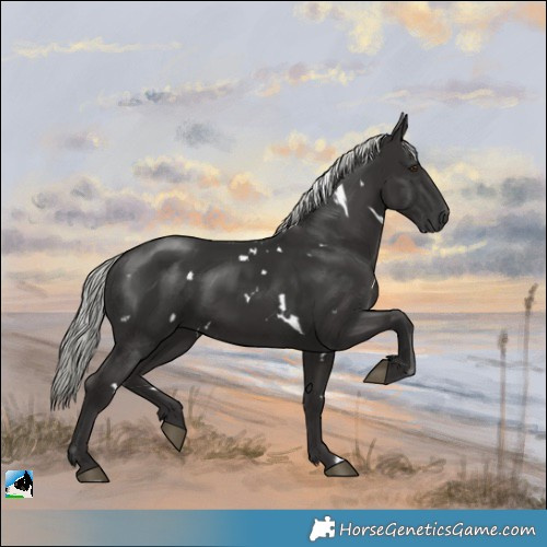 Horse Color:White Spotted Liver Chestnut Mushroom Rabicano 