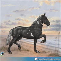 Horse Color:White Spotted Liver Chestnut Mushroom Rabicano 