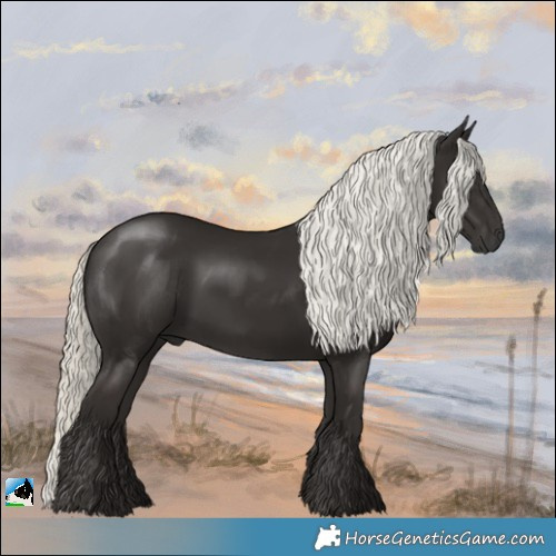 Horse Color:Liver Chestnut Mushroom Rabicano 