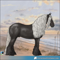 Horse Color:Liver Chestnut Mushroom Rabicano