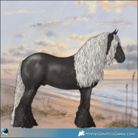 Horse Color:Liver Chestnut Mushroom Rabicano