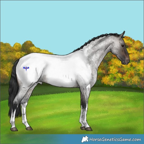 Horse Color:White Spotted Brown Roan Dun Appaloosa 