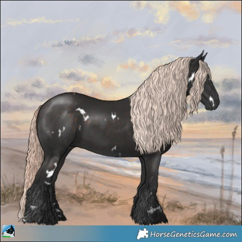 Horse Color:White Spotted Liver Chestnut Mushroom Rabicano 