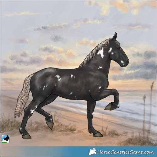 Horse Color:White Spotted Liver Chestnut Mushroom Rabicano 