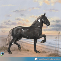 Horse Color:White Spotted Liver Chestnut Mushroom Rabicano 