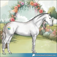Horse Color:Gray Chestnut Splash