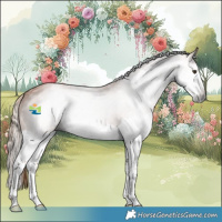 Horse Color:Gray Chestnut Splash 