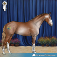 Horse Color:Gray Chestnut 