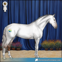 Horse Color:Gray Chestnut Tobiano