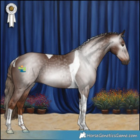 Horse Color:Gray Chestnut Tobiano 