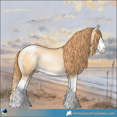 Horse Color:Buckskin Pearl Splash Varnish 