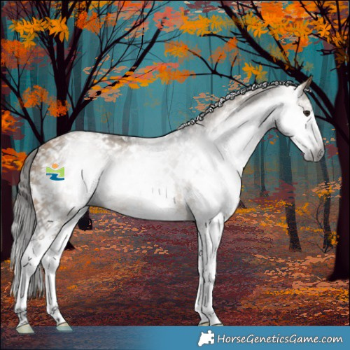 Horse Color:Gray Buckskin Dun Sabino 