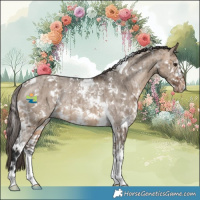 Horse Color:White Spotted Brown Dun Sabino Appaloosa Rabicano Brindle 