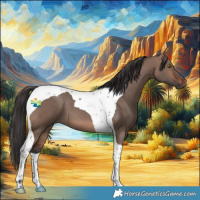Horse Color:Brown Dun Tobiano 
