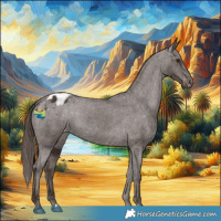Horse Color:Liver Chestnut Appaloosa