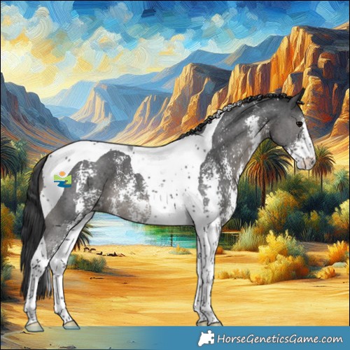 Horse Color:Black Sabino Tobiano 