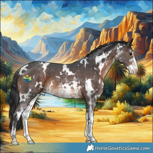 Horse Color:White Spotted Brown Sabino 