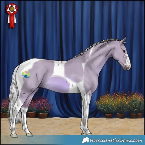 Horse Color:Watercolor Chocolate Palomino Dun Tobiano 