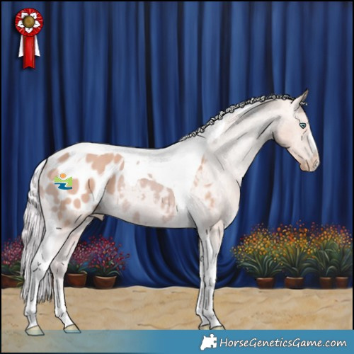 Horse Color:Watercolor Cremello Tobiano Appaloosa Rabicano 