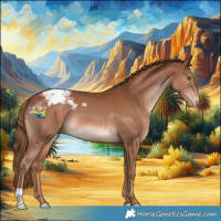 Horse Color:Chestnut Snowcap 