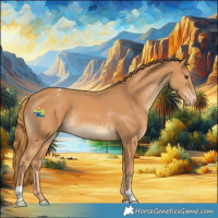 Horse Color:Chestnut Appaloosa 