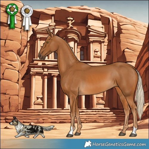 Horse Color:Palomino 