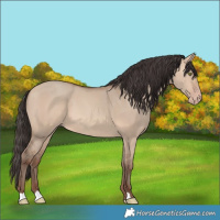Horse Color:Amber Champagne Dun 