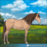 Horse Color:Amber Champagne 