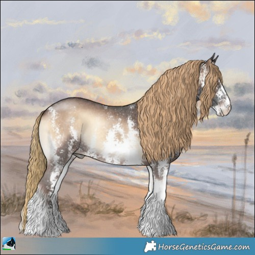 Horse Color:Liver Red Onyx Sabino Rabicano 