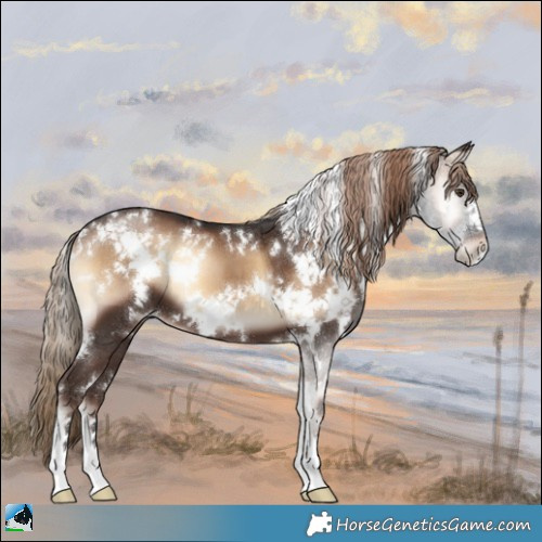 Horse Color:White Spotted Liver Red Onyx 