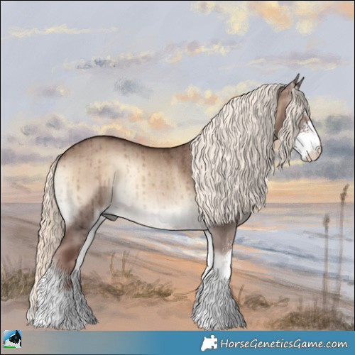 Horse Color:Liver Red Dun Onyx Mushroom Sabino Rabicano Brindle 