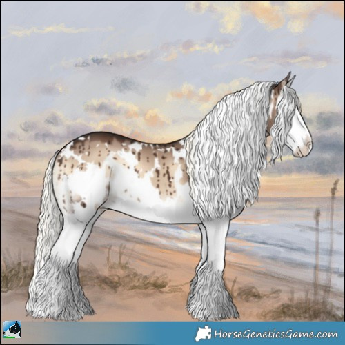 Horse Color:White Spotted Liver Red Dun Onyx Mushroom Splash Brindle 