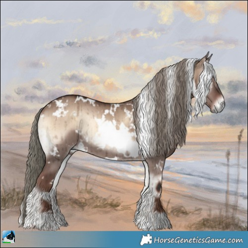 Horse Color:White Spotted Liver Red Dun Onyx Mushroom Brindle 