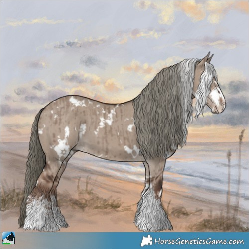 Horse Color:White Spotted Liver Red Dun Mushroom Sabino Brindle 