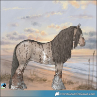 Horse Color:Liver Red Dun Mushroom Sabino Brindle 