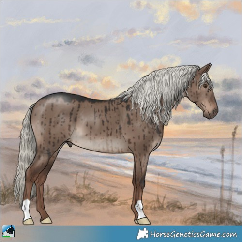 Horse Color:Liver Red Dun Mushroom Brindle 