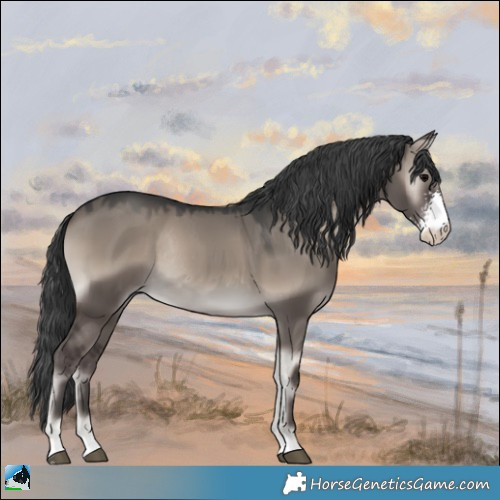 Horse Color:Grullo Onyx Mushroom Sabino Rabicano 