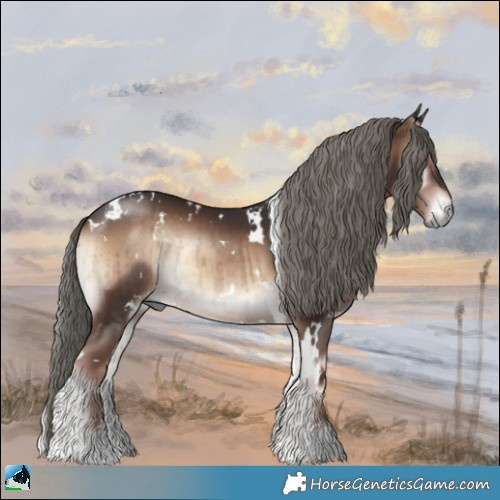 Horse Color:White Spotted Liver Red Onyx Mushroom Rabicano Brindle 
