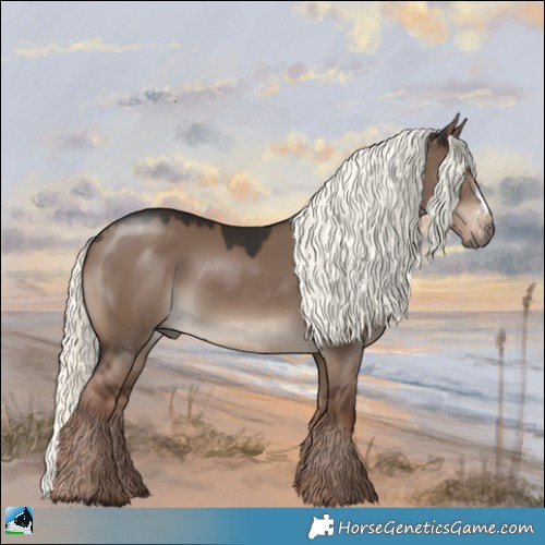 Horse Color:Liver Red Dun Mushroom Sabino Rabicano 